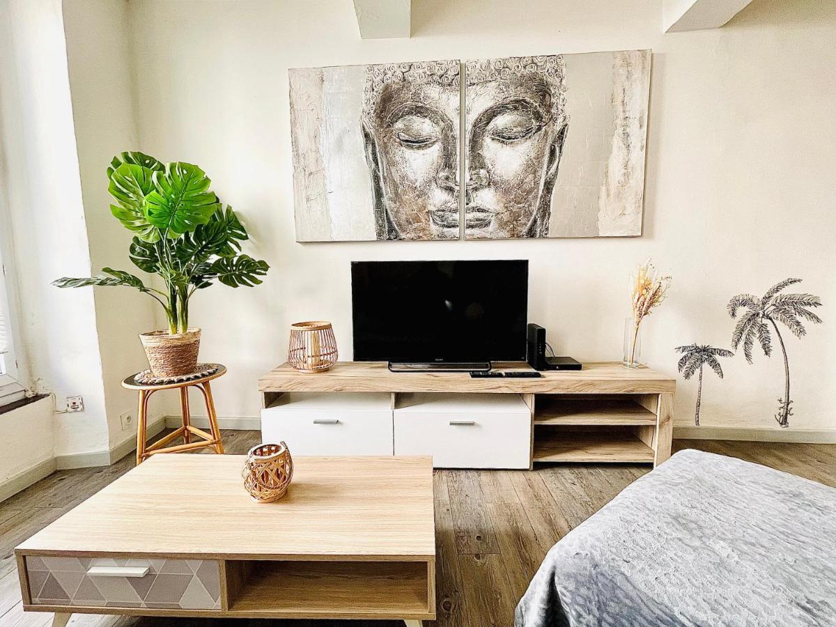 *Le Sahara*Hyper Centre*Wifi* Apartman Salon-de-Provence Kültér fotó